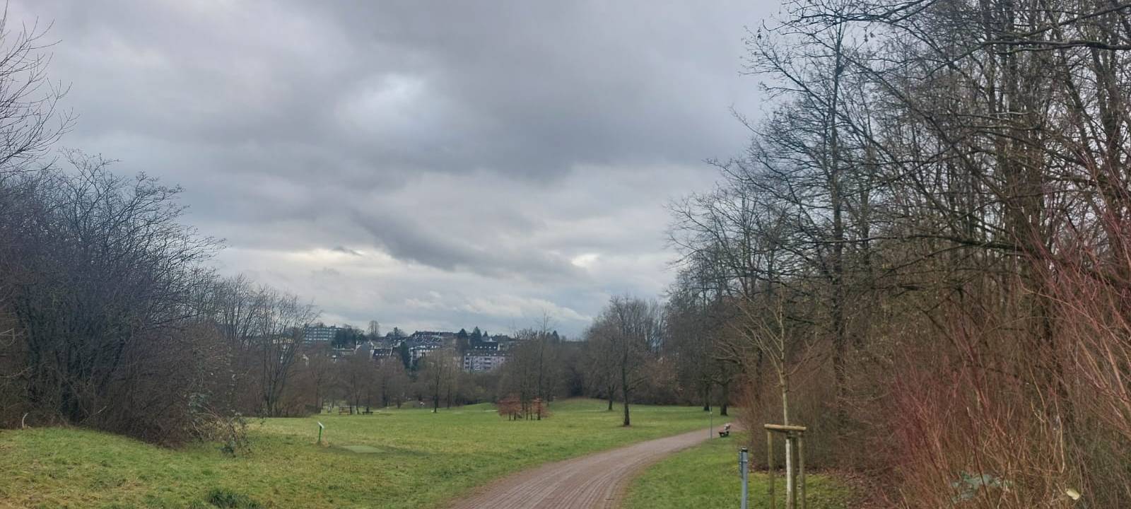 Grillverbot in Solinger Parks: Ordnungsamt kontrolliert