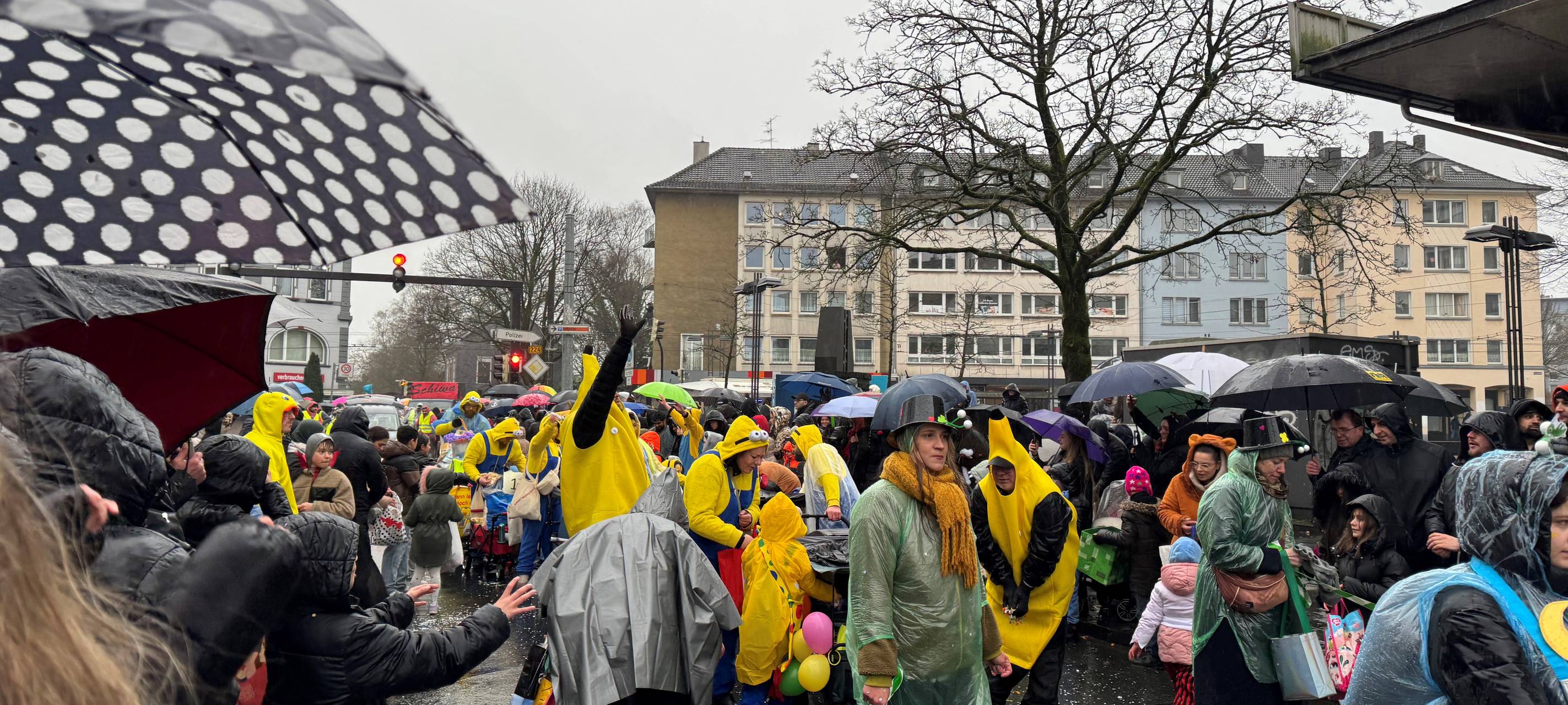 Rosenmontag 2026 im RSG-Land