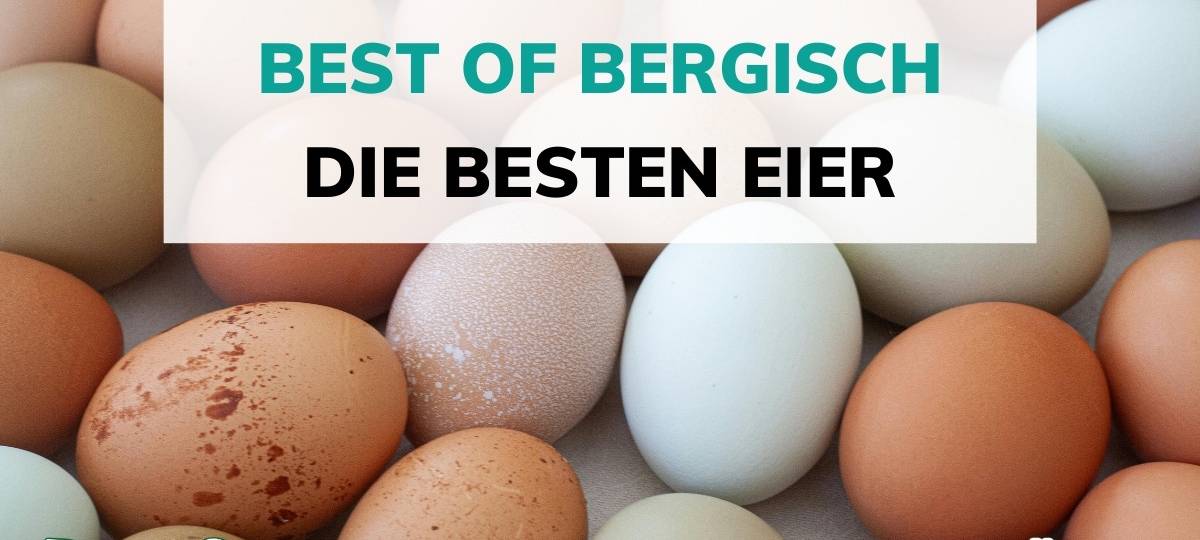 Best of Bergisch: Die besten Eier