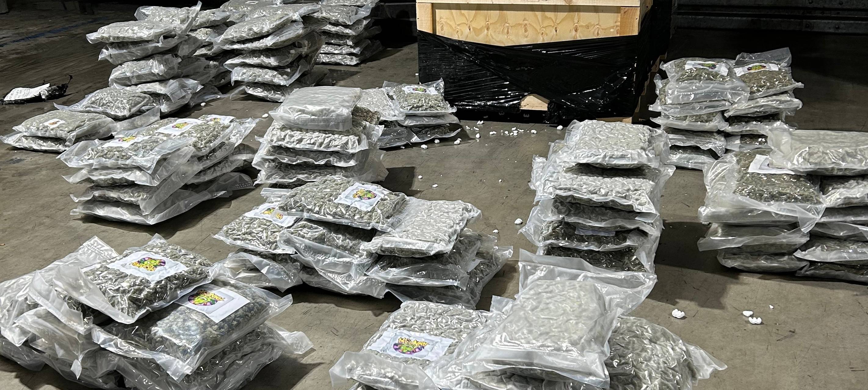 1,2 Tonnen Marihuana entdeckt - Spur führt nach Solingen