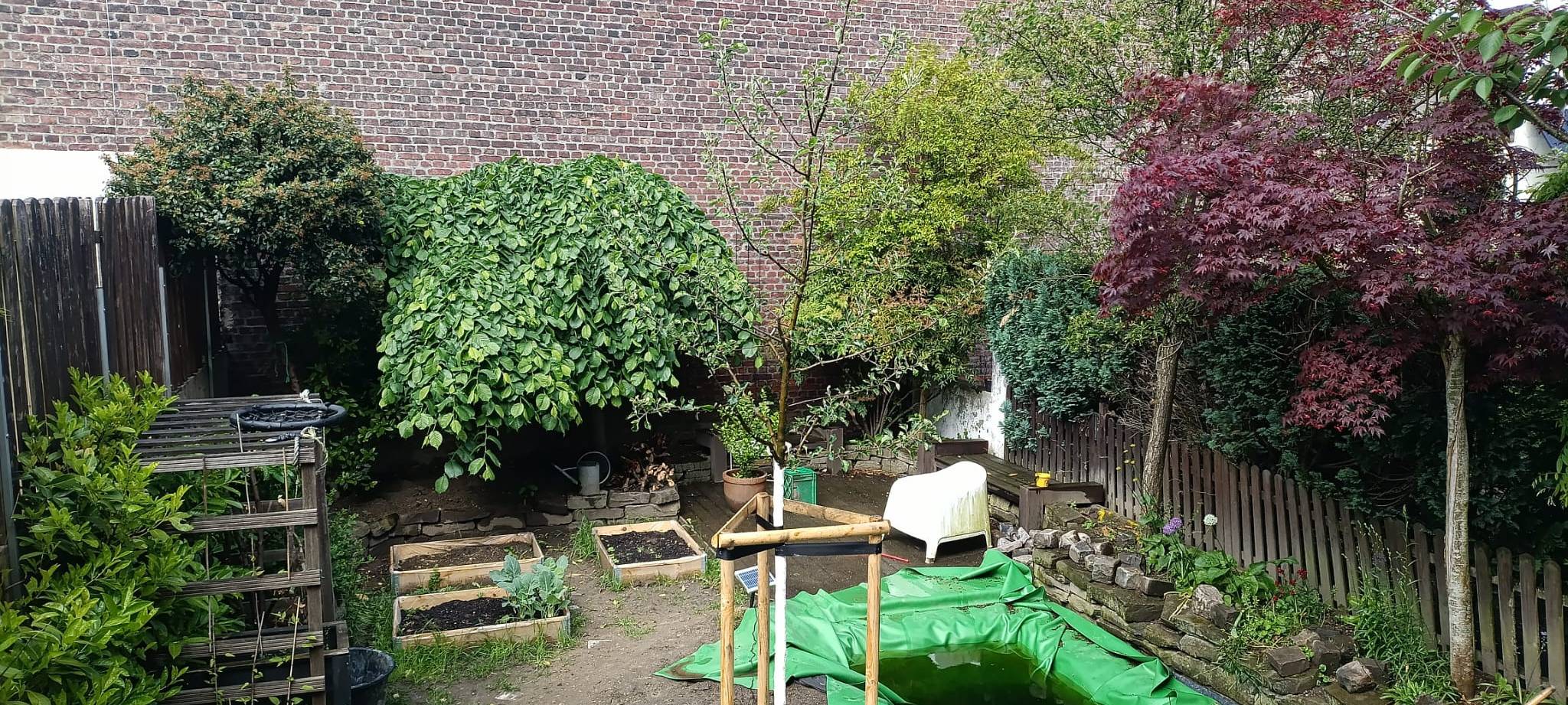 Baumpatenschaft in Solingen