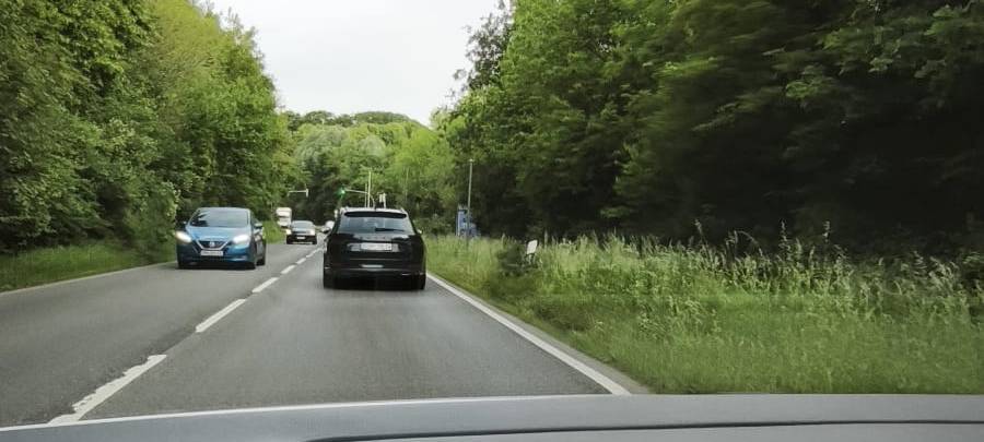 Pflanzen überwuchern in Solingen Verkehrsschilder
