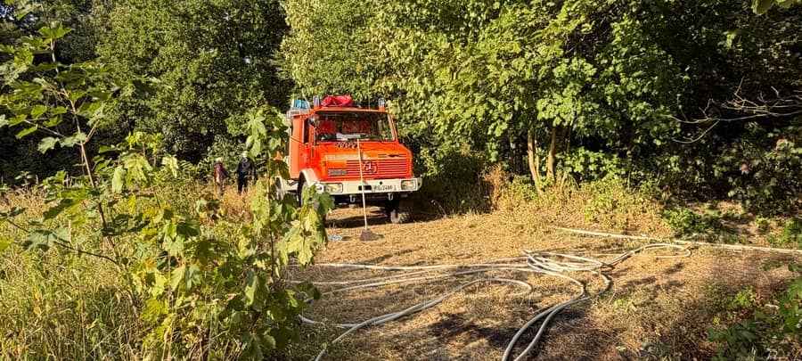Brand Papenberg