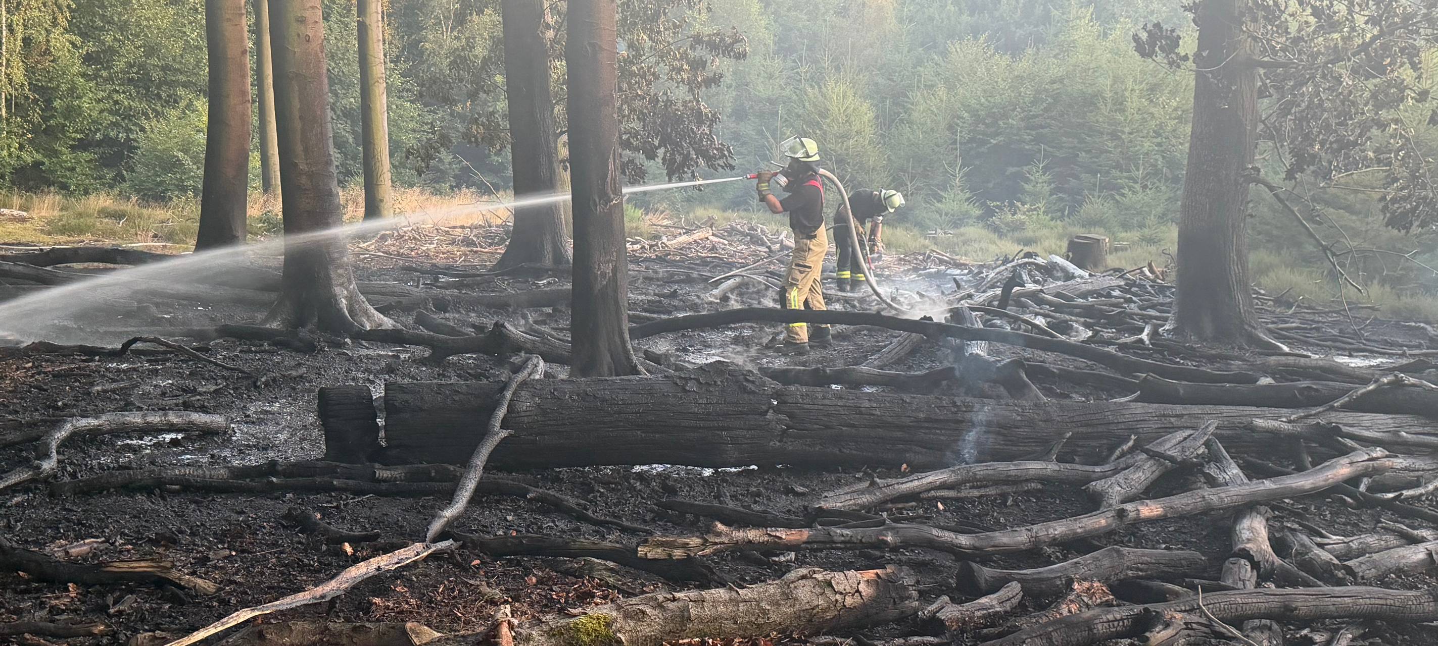 250 Quadratmeter Wald im Bereich Westerholt abgebrannt