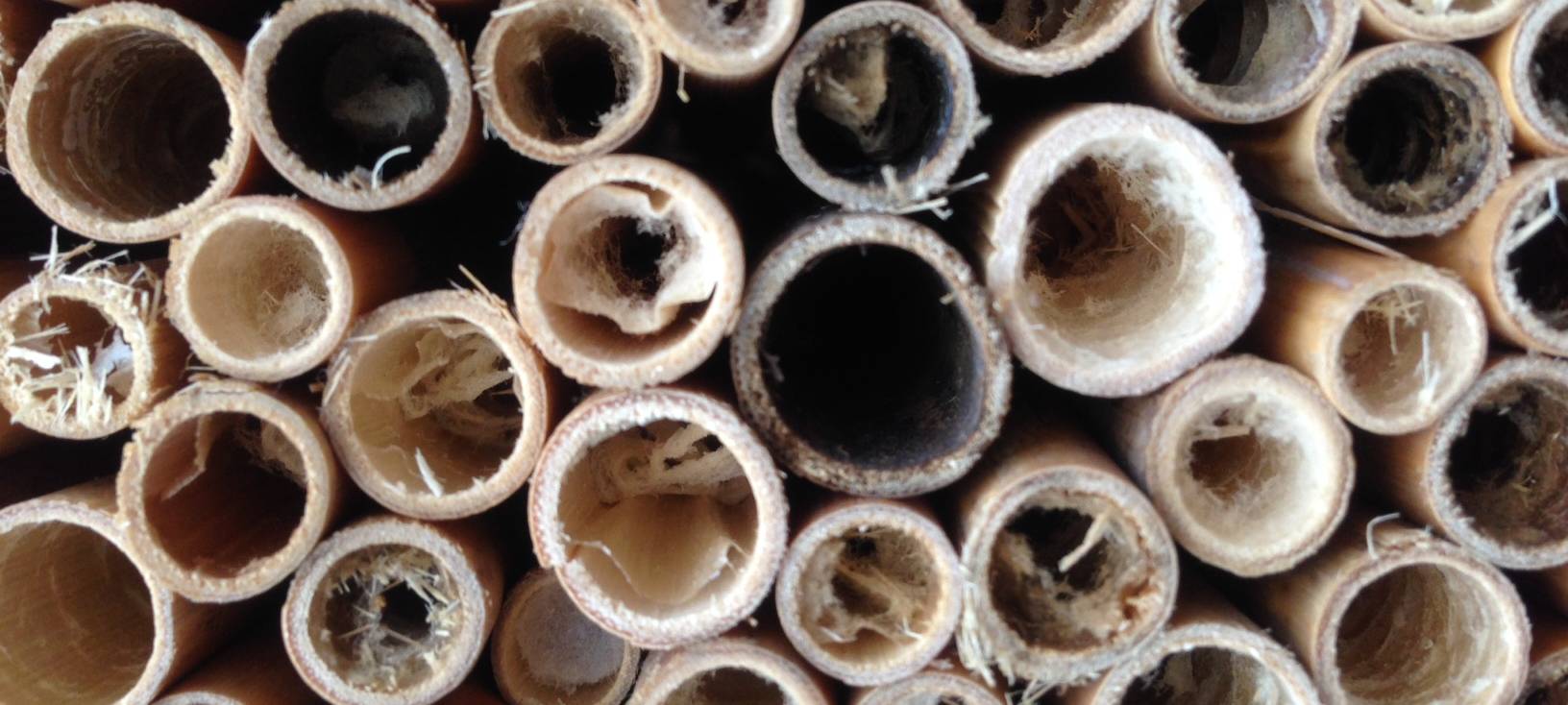 Regentonne und Insektenhotels