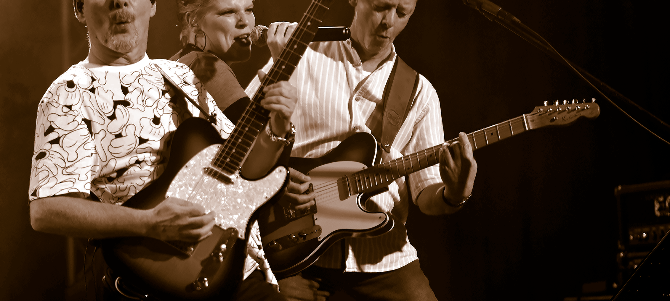 Radio statt Bühne - Musiker aus dem RSG-Land