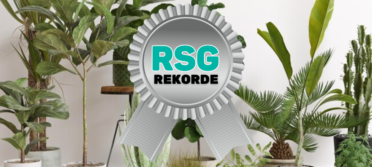 RSG-Rekorde: Die meisten Zimmerpflanzen