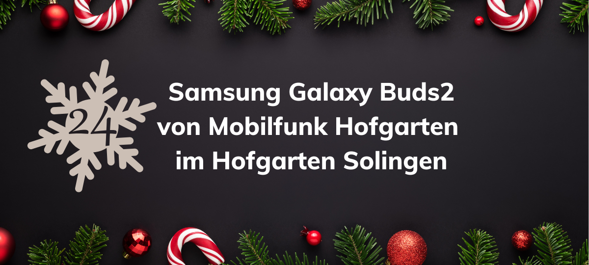 Der RSG-Adventskalender 2024